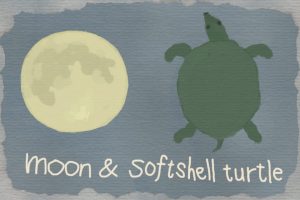 moon and softshell turtle